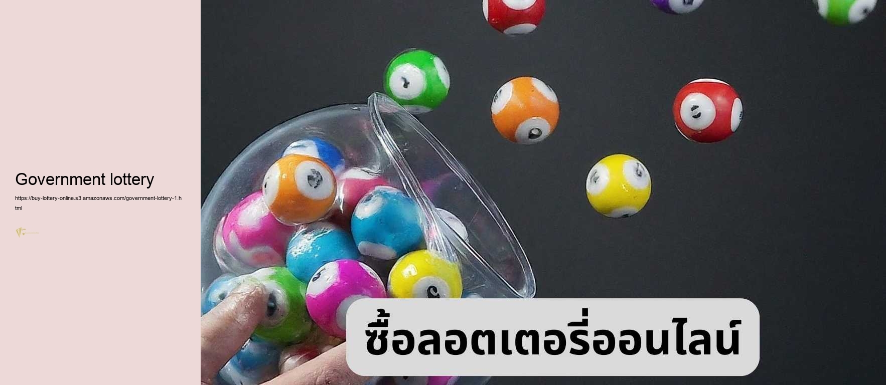 Government lottery